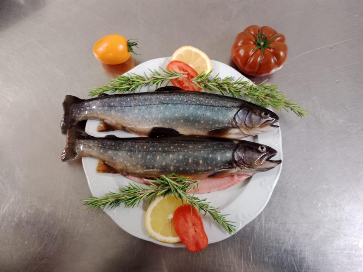 Hotel Waldcafe Neustift im Stubaital Eksteriør billede